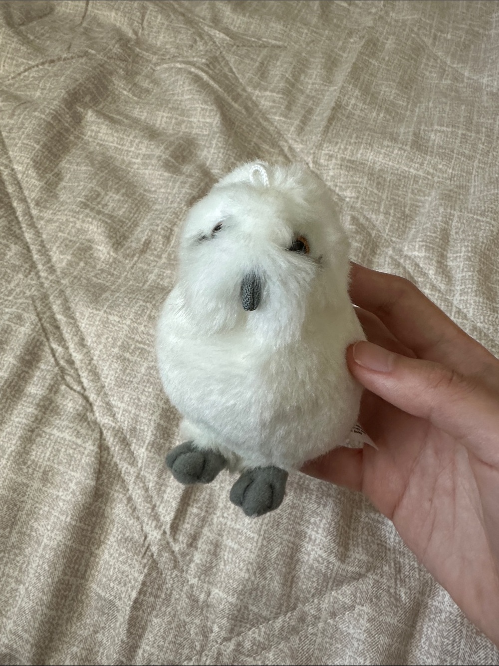 Harry Potter Baby Hedwig Plush Toy